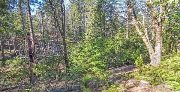 24184 Awahanee Road, Sonora, CA 95370