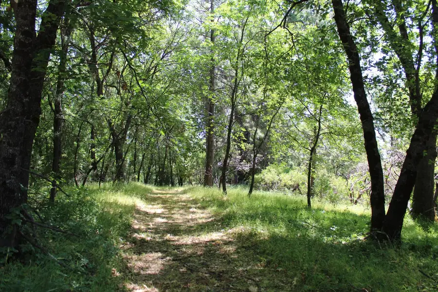 21785 Highway 26, West Point, CA 95255 - Image #2