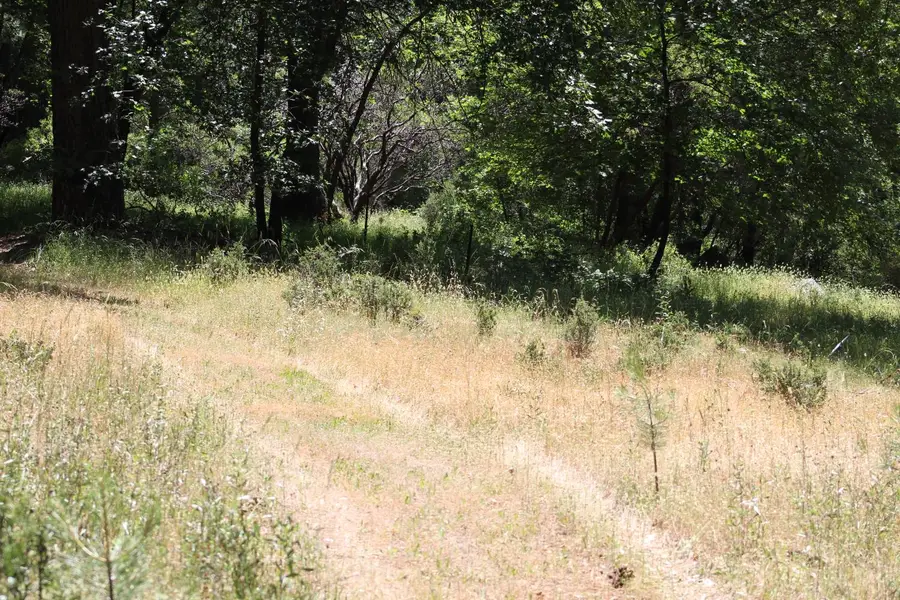 21785 Highway 26, West Point, CA 95255 - Image #3