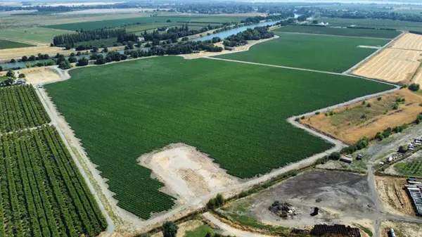 13485 Isleton Road, Walnut Grove, CA 95690