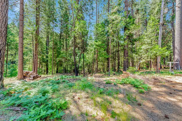 6134 Kokanee Lane, Pollock Pines, CA 95726