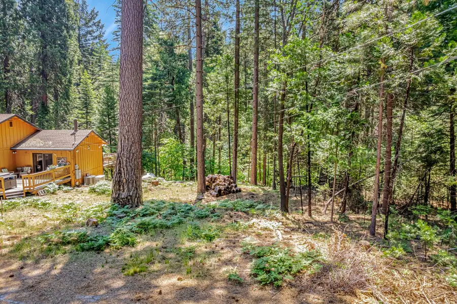 6134 Kokanee Lane, Pollock Pines, CA 95726 - Image #2