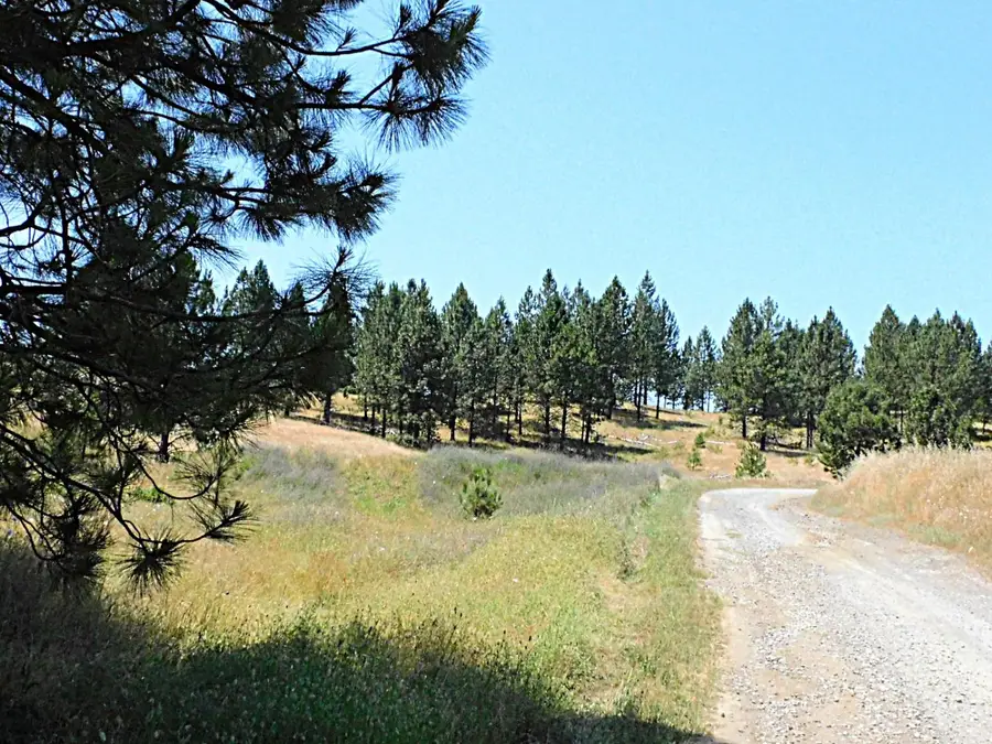 165 Freshwater Lane, El Dorado, CA 95623 - Image #2