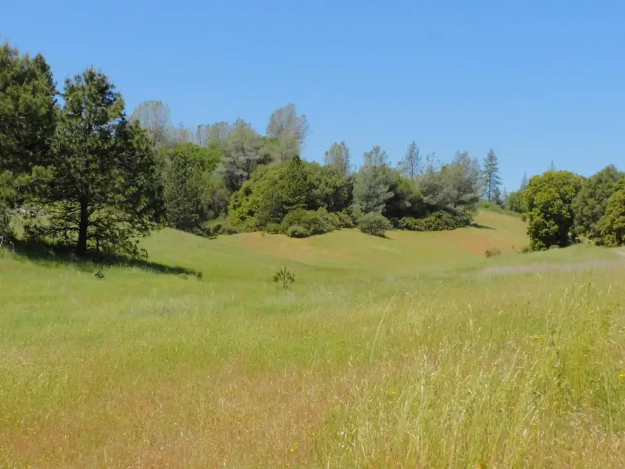 165 Freshwater Lane, El Dorado, CA 95623 - Image #3