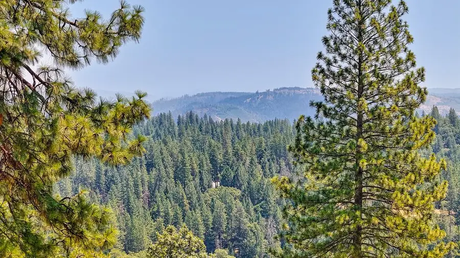 6459 Longridge Court, Foresthill, CA 95631 - Image #3