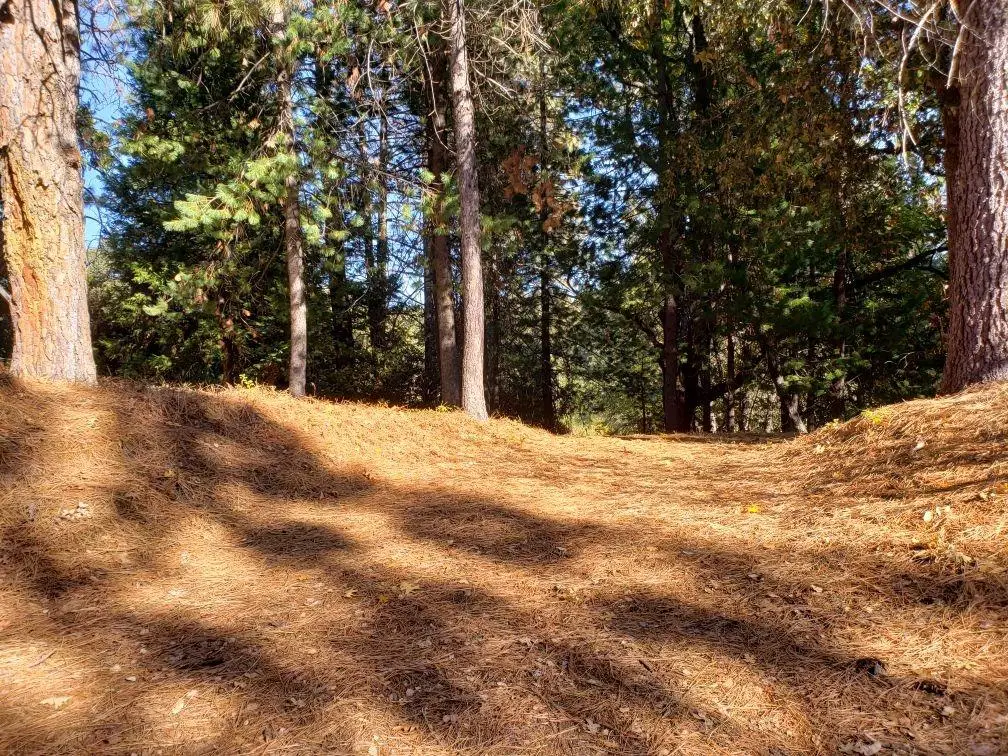 1812 Sandalwood Dr, Murphys, CA 95247 - Image #1