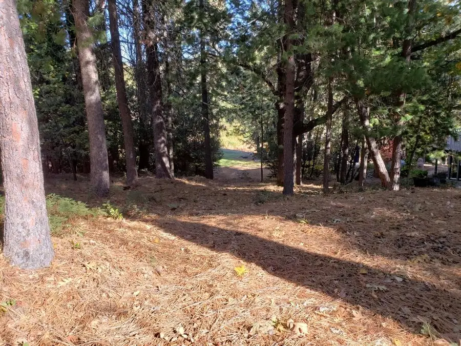 1812 Sandalwood Dr, Murphys, CA 95247 - Image #2