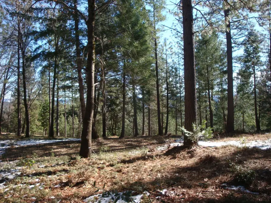 0 Foresthill Rd, Foresthill, CA 95631 - Image #2