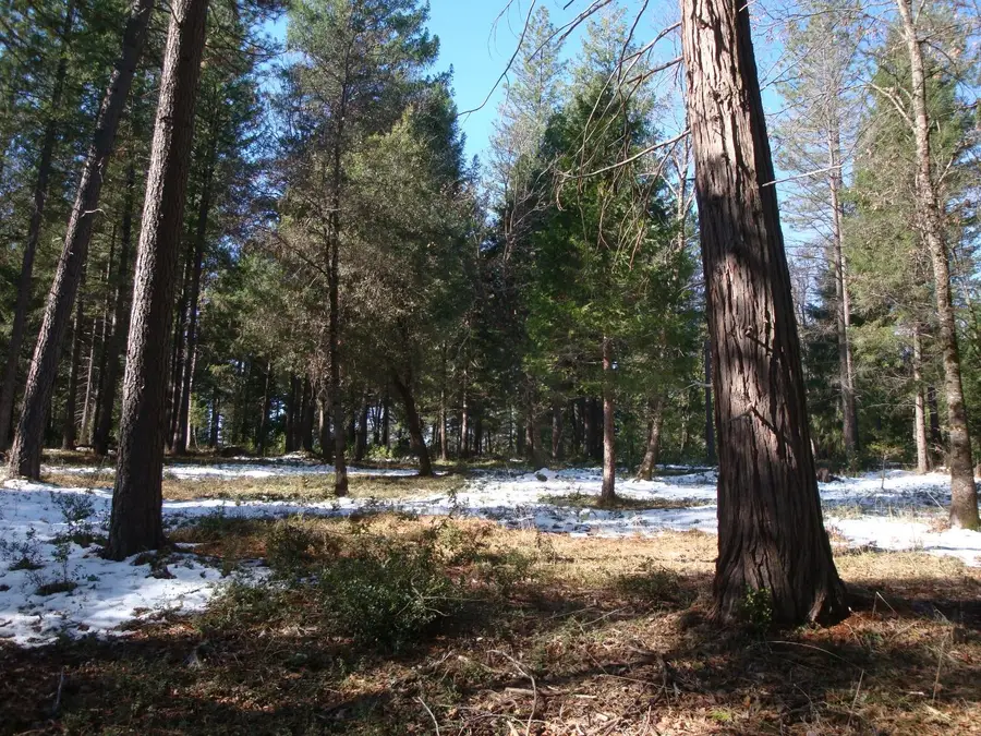 0 Foresthill Rd, Foresthill, CA 95631 - Image #3