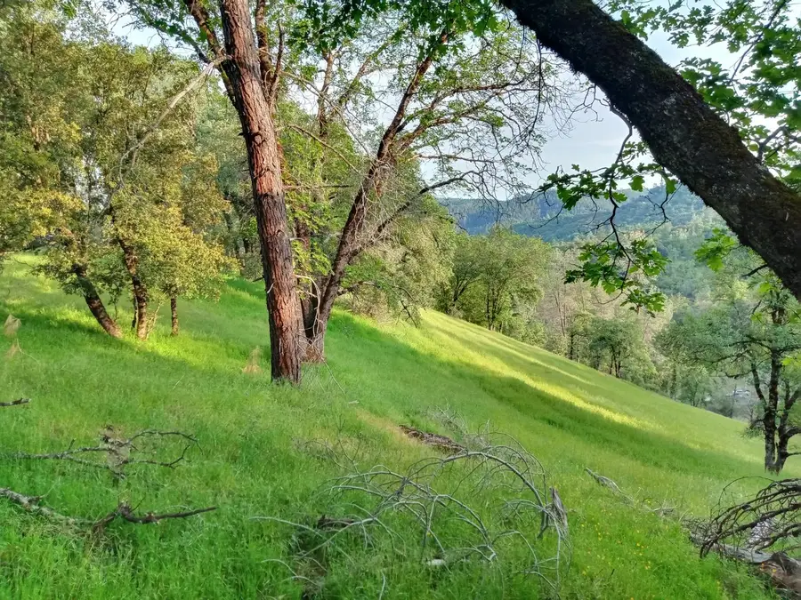 12274 Kenneth Court, Grass Valley, CA 95949 - Image #2