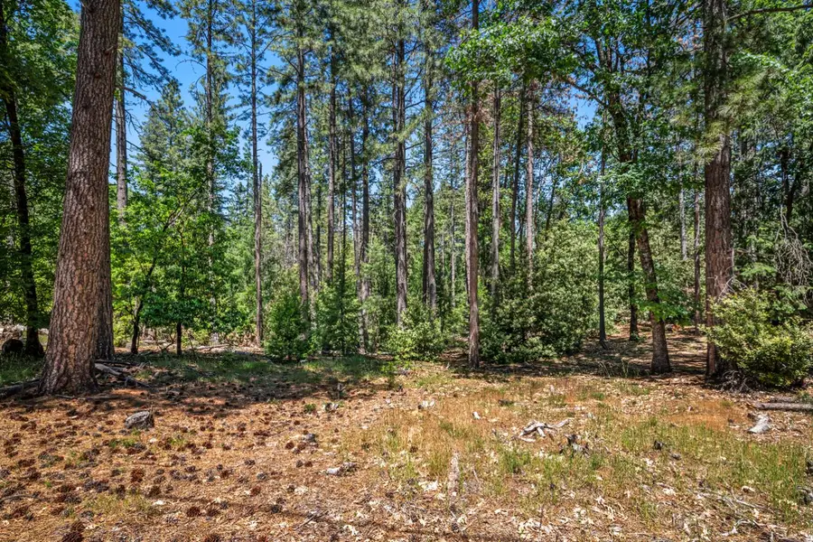 6324 Dickinson Road, Placerville, CA 95667 - Image #3