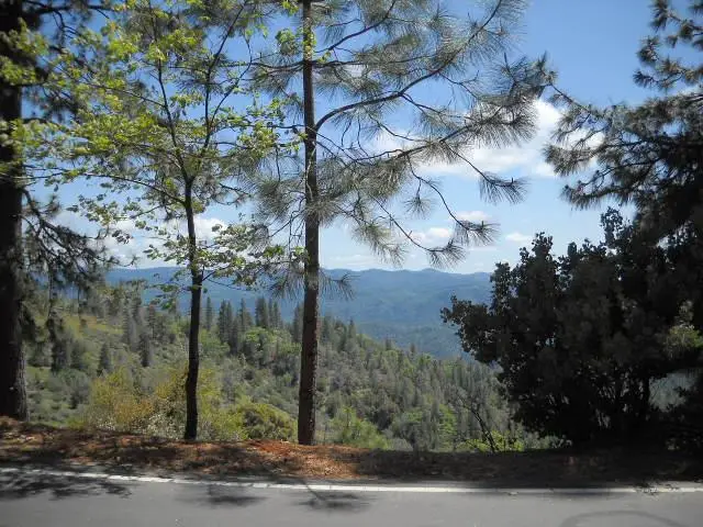 1202 Heather Drive, Murphys, CA 95247 - Image #2