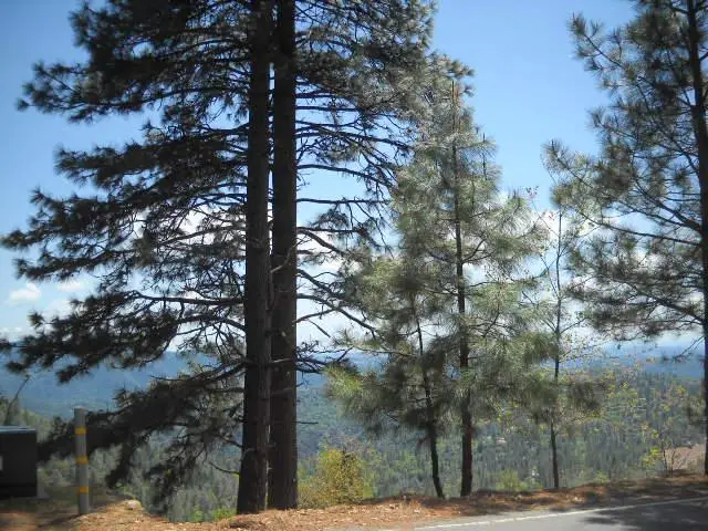 1202 Heather Drive, Murphys, CA 95247 - Image #3