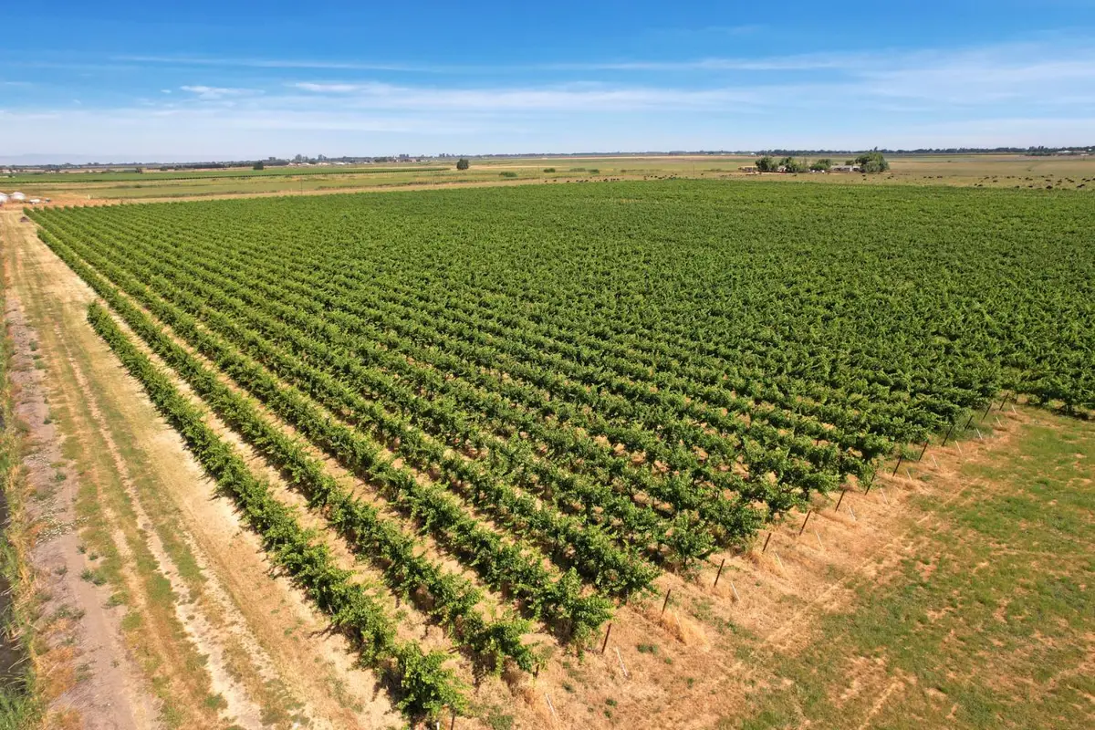 14226 State Highway 160, Walnut Grove, CA 95690 - Image #1