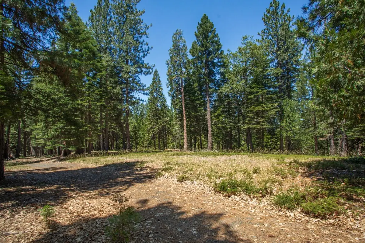 0 Canyon View Ct., Alta, CA 95701 - Image #1