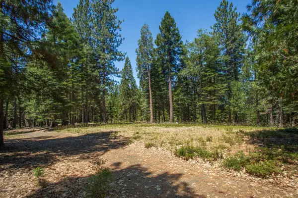 0 Canyon View Ct., Alta, CA 95701