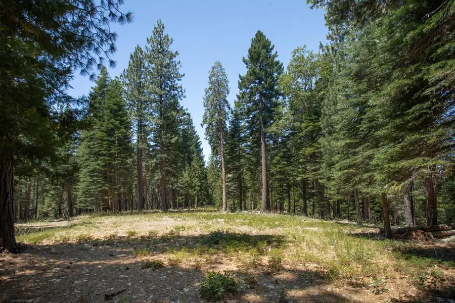 0 Canyon View Ct., Alta, CA 95701 - Image #2