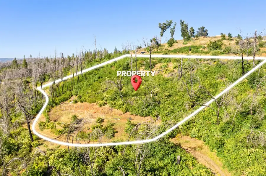0 Pine Tree Lane, Berry Creek, CA 95916 - Image #2