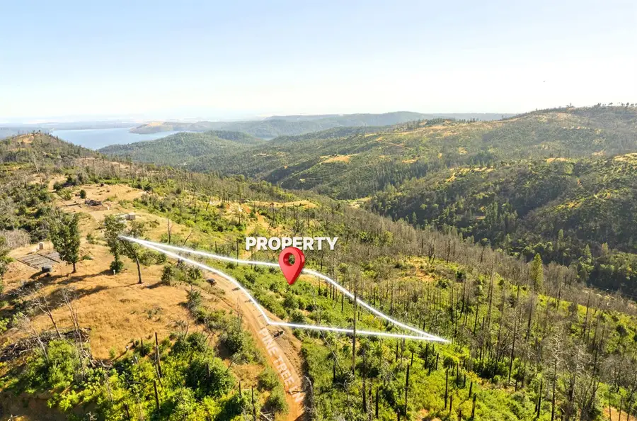 0 Pine Tree Lane, Berry Creek, CA 95916 - Image #3