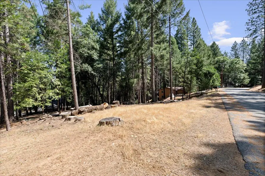 5521 Begonia Drive, Pollock Pines, CA 95726 - Image #2