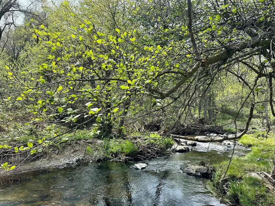 1 Joeger Road, Auburn, CA 95602 - Image #2