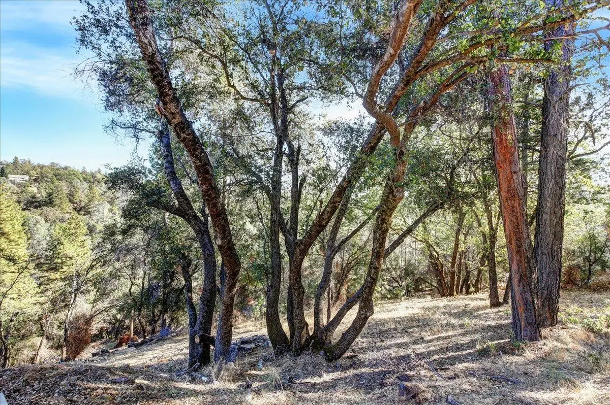 16428 Patricia Way, Grass Valley, CA 95949 - Image #1