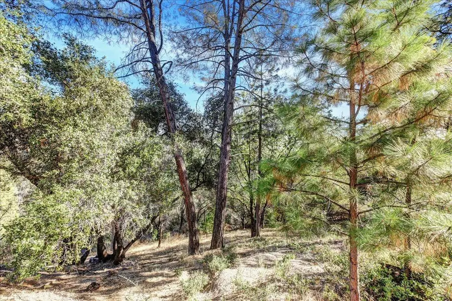 16428 Patricia Way, Grass Valley, CA 95949 - Image #3