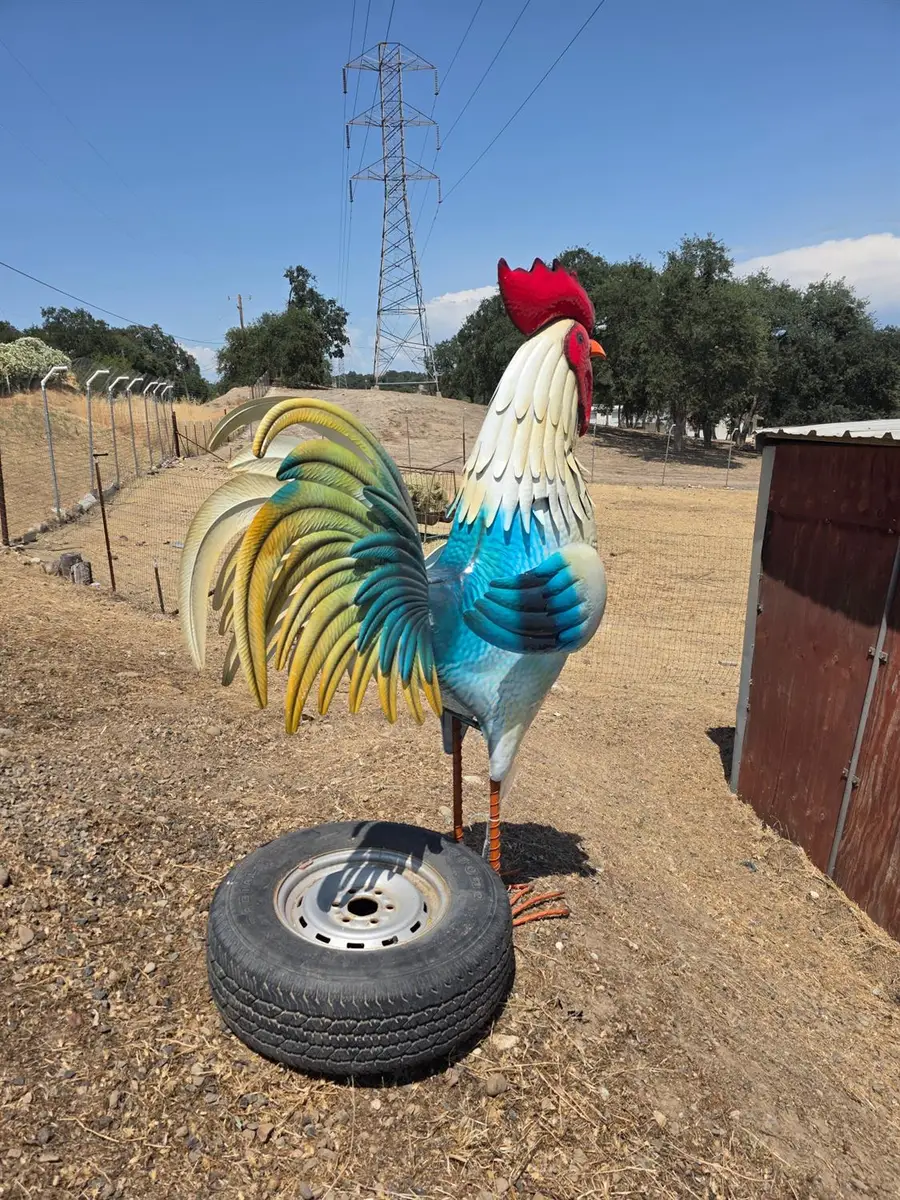 2659 Danaher Drive, Valley Springs, CA 95252 - Image #3