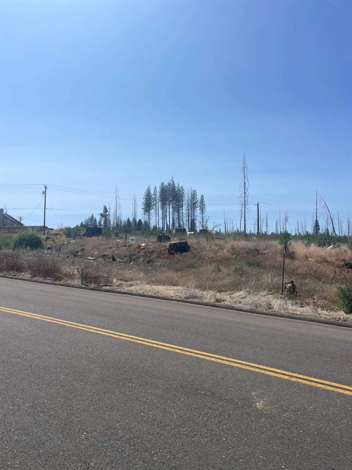 10141 Grizzly Flat Road, Grizzly Flats, CA 95636 - Image #1