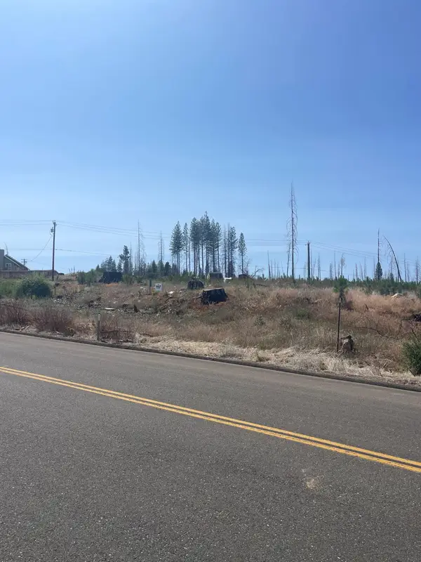 10141 Grizzly Flat Road, Grizzly Flats, CA 95636