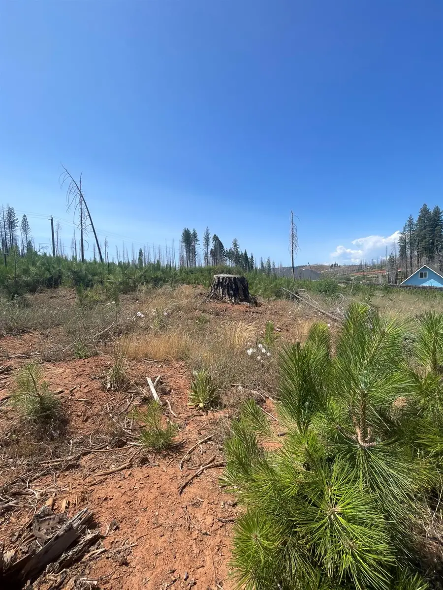 10141 Grizzly Flat Road, Grizzly Flats, CA 95636 - Image #2