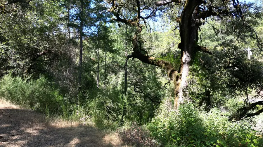 12226 Pine Cone Circle, Grass Valley, CA 95945 - Image #3