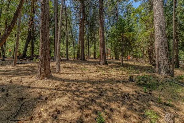 16896 S Silver Drive, Pioneer, CA 95666