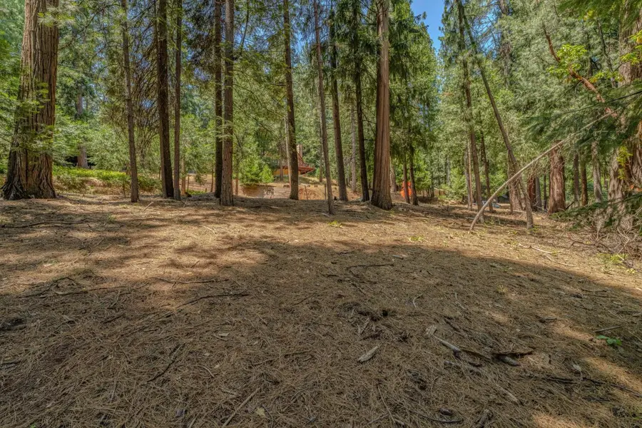 16896 S Silver Drive, Pioneer, CA 95666 - Image #2