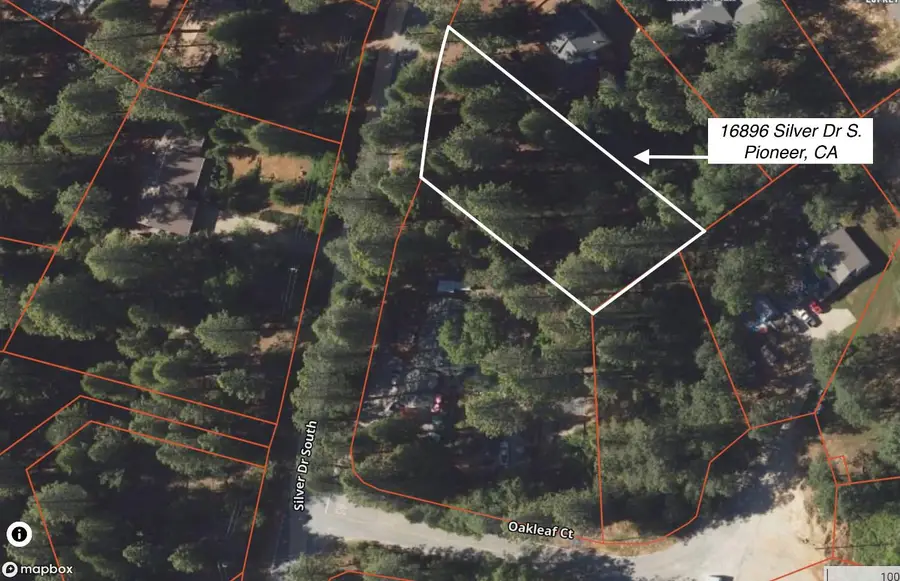 16896 S Silver Drive, Pioneer, CA 95666 - Image #3