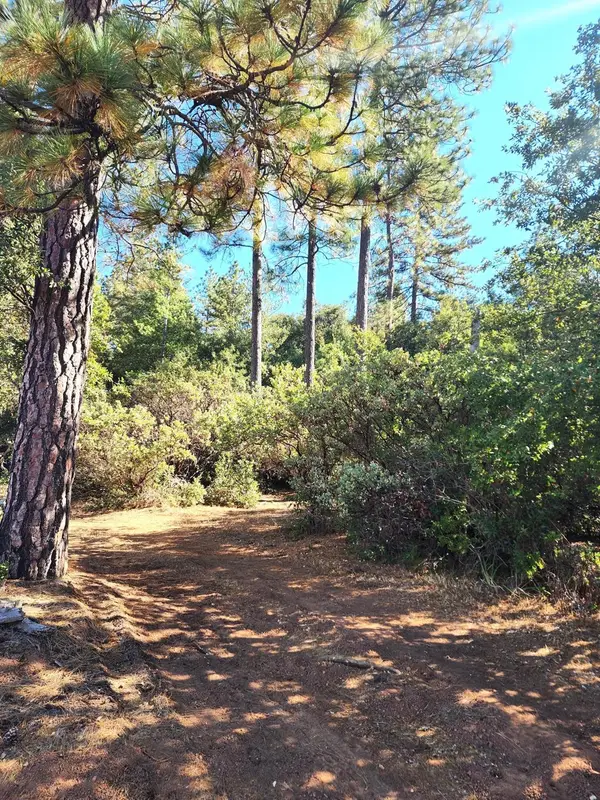 10550 Tabeaud Road, Pine Grove, CA 95665