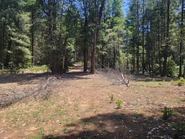 12 Ringtail, Georgetown, CA 95634