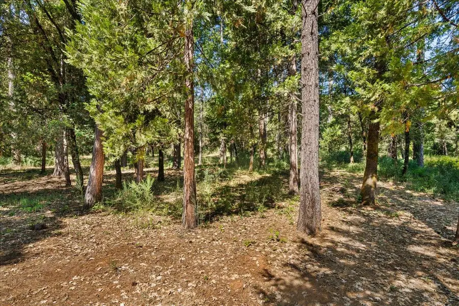 11620 Bitney Springs Road, Nevada City, CA 95959 - Image #2