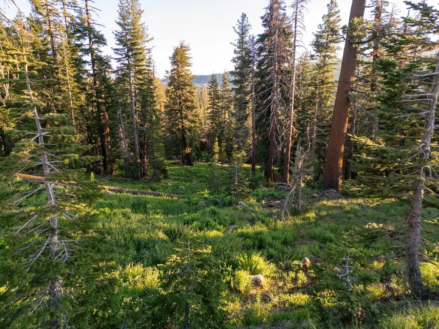 34011 Danburg Drive, Kirkwood, CA 95645 - Image #3