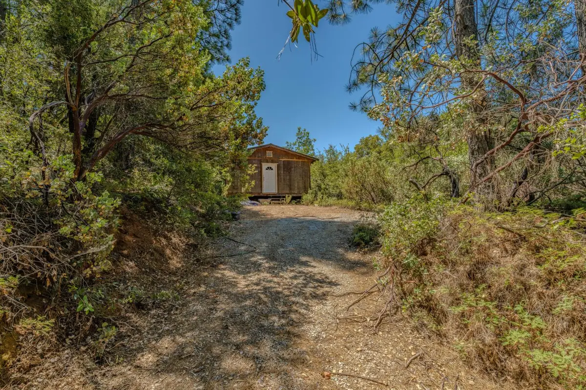 18200 Chesters Place, Pine Grove, CA 95665 - #1
