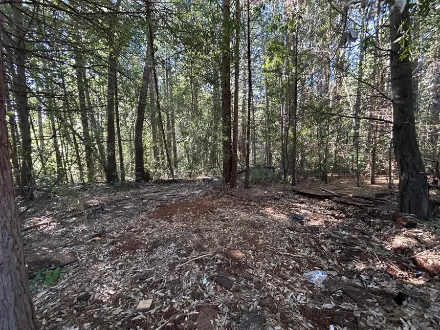 35 Bamford, Forbestown, CA 95941 - Image #2