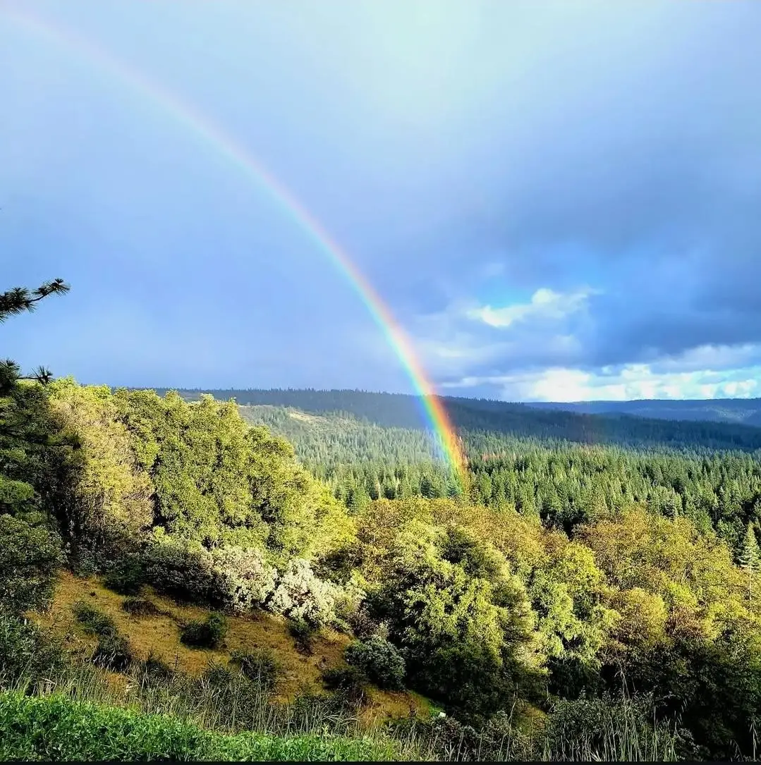 27035 N Bloomfield, Nevada City, CA 95959 - Image #1