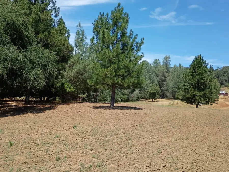 2629 Shilo Drive, Placerville, CA 95667 - #3