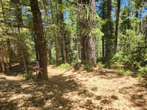 6296 Merry Way, Clipper Mills, CA 95930