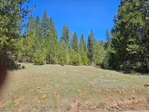 1234 Indian Diggins Rd, Somerset, CA 95684 - Image #2