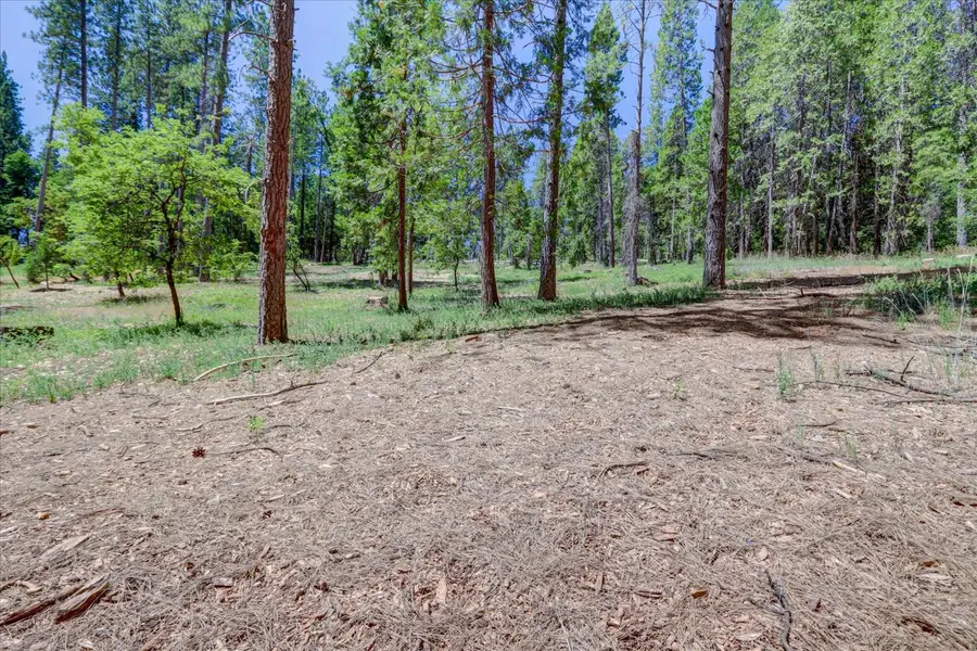 262 W Olympia Drive, Grass Valley, CA 95945 - Image #2