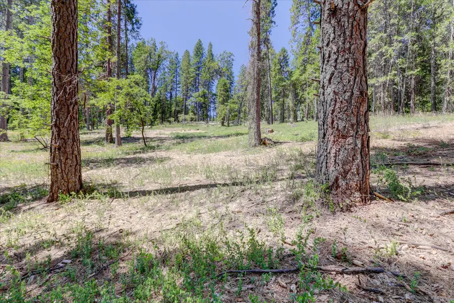 262 W Olympia Drive, Grass Valley, CA 95945 - Image #3