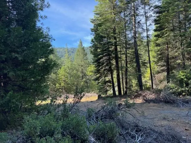 13264 Diamond Creek Road, Nevada City, CA 95959 - Image #2