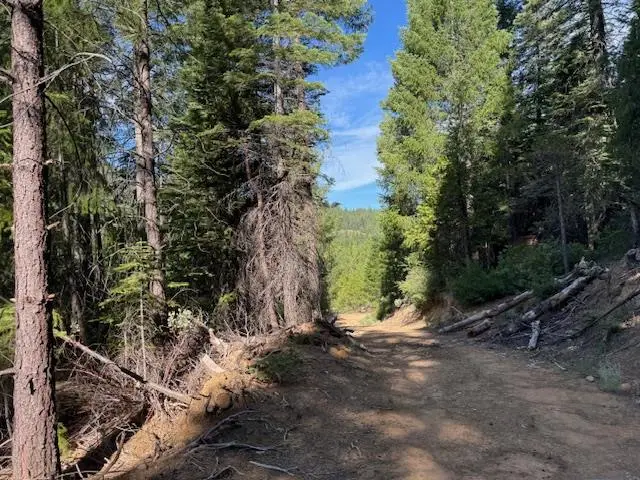 13264 Diamond Creek Road, Nevada City, CA 95959 - Image #3