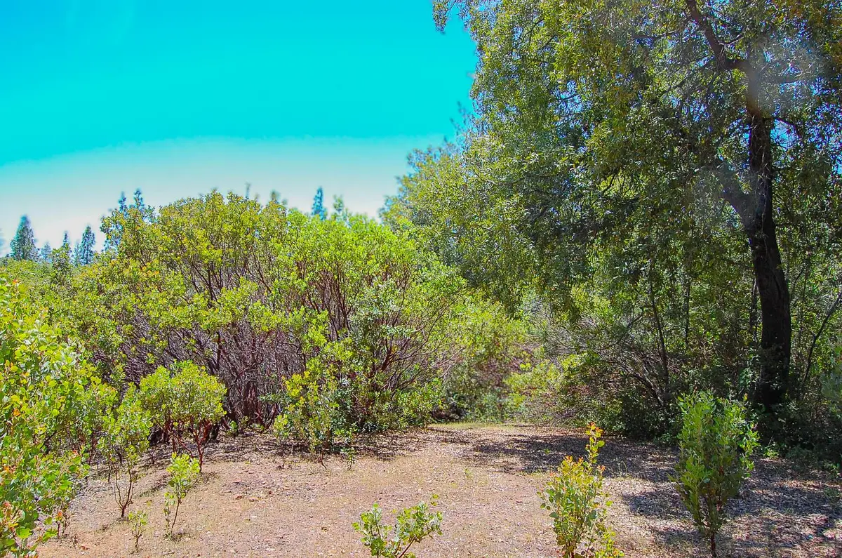 14515 Manzanita Road, Sutter Creek, CA 95685 - Image #1